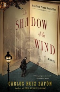the shadow of the wind cover